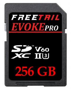 evoke-pro-1000x-256gb-sdxc-uhs-ii-u3-card-ftsd256a10